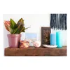 A shelf display with decorative items and a plant. Produktbild-Vorschau