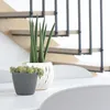 Two potted plants are placed on a white table in front of a wooden staircase. Anteprima dell’immagine prodotto