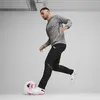 Puma Teamgoal Trainingssweat Kinder - Grau Produktbild-Vorschau 5