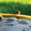 Ape farfalla abbeveratoio rotondo giallo 27cm vasca da Anteprima dell’immagine prodotto 2