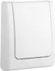 Grohe Classic Abdeckplatte für Urinal mattchrom - 43048P00 Produktbild-Vorschau 6
