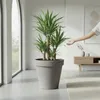 Fioriera in plastica XXL rotonda Ø 58 cm - grigio chiaro - Anteprima dell’immagine prodotto 8