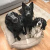 4L Textil HUGO Orthopädisches Hundebett aus Cord Produktbild-Vorschau 8
