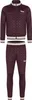 Pánské tepláky slim fit ASHWELL Oxblood/Ecru L Lonsdale Náhled obrázku produktu 2
