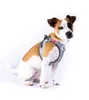 Curli Clasp Vest Geschirr Glow Reflective Gray, Größe: M Produktbild-Vorschau 8