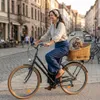 Hundefahrradkorb Weidenkorb mit Gitter Kissen großer Produktbild-Vorschau 4