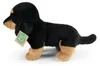 Peluche chien teckel, 23 cm, fabriquée de manière Voir les images du produit 4