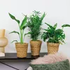 3x Luftreinigungskörbe Mix – Luftreinigung – ⌀12 cm - Produktbild-Vorschau 2