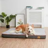 A dog is lying on a dog bed in a room with plants and a radiator. Náhled obrázku produktu