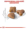 Royal Canin Feline Sensible 33, Adult, 2 kg Produktbild-Vorschau 2