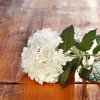 Hortensia Dense Beau Bouquet D'hortensias Fleurs Voir les images du produit 20