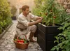 KHW Kunststoff-Hochbeet Demeter M, schmal, platzsparendes Produktbild-Vorschau 15