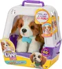 Moose Toys My Really Real Puppy, Chłopak, dziewczyna, 4 Podgląd zdjęcia produktu 9