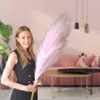 Layba Pampasgras Deko in Rosa Boho Künstliches Pampasgras - Produktbild-Vorschau 4