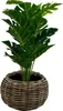 Rotan Drypot Bol - ø 45 x 34 cm - Runder Pflanzkasten - Produktbild-Vorschau 3