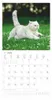 A white cat is lying on green grass with white flowers. Below the image is a calendar for July 2026. Produktbild-Vorschau