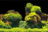 Rückwandfolie Aquarium Hintergrund Aquarien 2in1 Produktbild-Vorschau 4