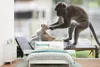 MuchoWow® Fototapete für Wohnzimmer oder Schlafzimmer Produktbild-Vorschau 1