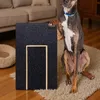 Robustes Hunde-Nagelkratzpad mit Leckerli-Box, Produktbild-Vorschau 2