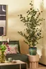 Plante artificielle en pot EUCALYPTUS Voir les images du produit 4