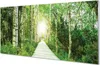 Glasbilder 120x60 Wandkunst Birke Forstweg Produktbild-Vorschau 1