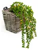 Balkonkorb - Rattan geflochten -15 x 15 x 15 cm - Produktbild-Vorschau 1