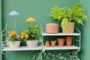 LED plantlamp, plantverlichting, 7W, met uitschuifbare Productafbeelding-voorbeeld 5