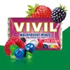 VIVIL Waldfrucht-Minze Pastillen ohne Zucker | 5 x 3er Pack Produktbild-Vorschau 2