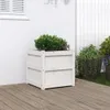 vidaXL Pflanzkübel Weiß 50x50x50 cm Massivholz Kiefer Produktbild-Vorschau 2