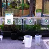 A row of clear plastic fish catching cups with the JBL logo, hanging over an aquarium. In the foreground, there are two plastic cups and a black bucket. Produktbild-Vorschau