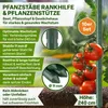 TTL GARDEN Rankstäbe 10er Set 240cm 11mm Pflanzenstütze + Produktbild-Vorschau 2