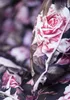 Hollywoodschaukel Auflage Blomster Hellgrau 148 cm mit 2 Produktbild-Vorschau 2