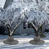Winterschutz für Pflanzen, Winterbaum Schutzhaube, Palmen Produktbild-Vorschau 7