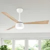 Ventilateur de plafond Parrot Uncle avec éclairage LED, Voir les images du produit 1
