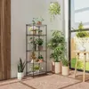 A collection of potted plants arranged on a multi-tiered shelf and on the floor, near a large window. Produktbild-Vorschau