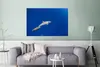 MuchoWow® Poster Delfin - Tier - Meer 120x80 cm - Bilder Produktbild-Vorschau 5