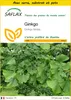 SAFLAX Ensemble de culture - Ginkgo - 4 graines - Ginkgo Voir les images du produit 1