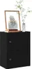 A black wooden cabinet with two doors, decorated with a framed picture and a vase with a plant on top. Náhled obrázku produktu