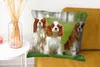 MuchoWow® Zierkissen Sofakissen Wohnzimmer Dekokissen 60x60 Produktbild-Vorschau 6