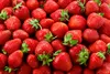 Dünger Erdbeeren Walderdbeeren Wurmhumus Flüssig Produktbild-Vorschau 3