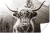 MuchoWow® Poster Schottischer Highlander - Kuh - Tiere - Produktbild-Vorschau 1