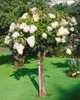 A flowering tree in a garden setting. Produktbild-Vorschau