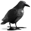 Realistische Vogelabwehr Krähe mit Sound: Produktbild-Vorschau 7