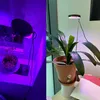 A split image showing a plant grow light in use with plants. The left side shows a plant under a purple grow light, and the right side shows a plant under a white grow light. Náhľad obrázku produktu