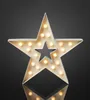 LED Stern Deko warmweiß 20 LEDs Innen 40 cm Weihnachten Produktbild-Vorschau 1