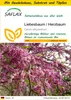 SAFLAX Anzucht Set - Liebesbaum / Herzbaum - Cercis Produktbild-Vorschau 1