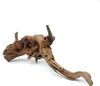 BioRain Roots Tropische Treibholzwurzel S 12-20cm Produktbild-Vorschau 6