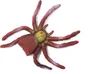 Stretch - Spinne - rot/gelb Produktbild-Vorschau 1