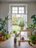 A bright room with an open door leading to a garden, filled with various plants and decorative items. Náhľad obrázku produktu