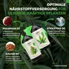 Green Home Dünger Konzentrat Set - 1L Wachstumsdünger, 1L Produktbild-Vorschau 7